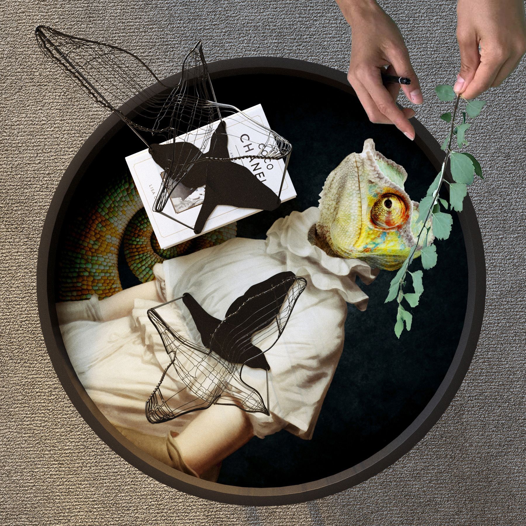Illustration for Zakharchitects project